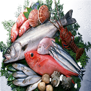 南方水產品加盟 把握商機，開拓水產品市場新藍海