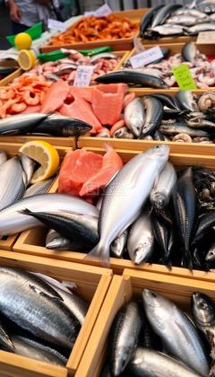 水產(chǎn)品 營養(yǎng)與可持續(xù)利用的雙重價值